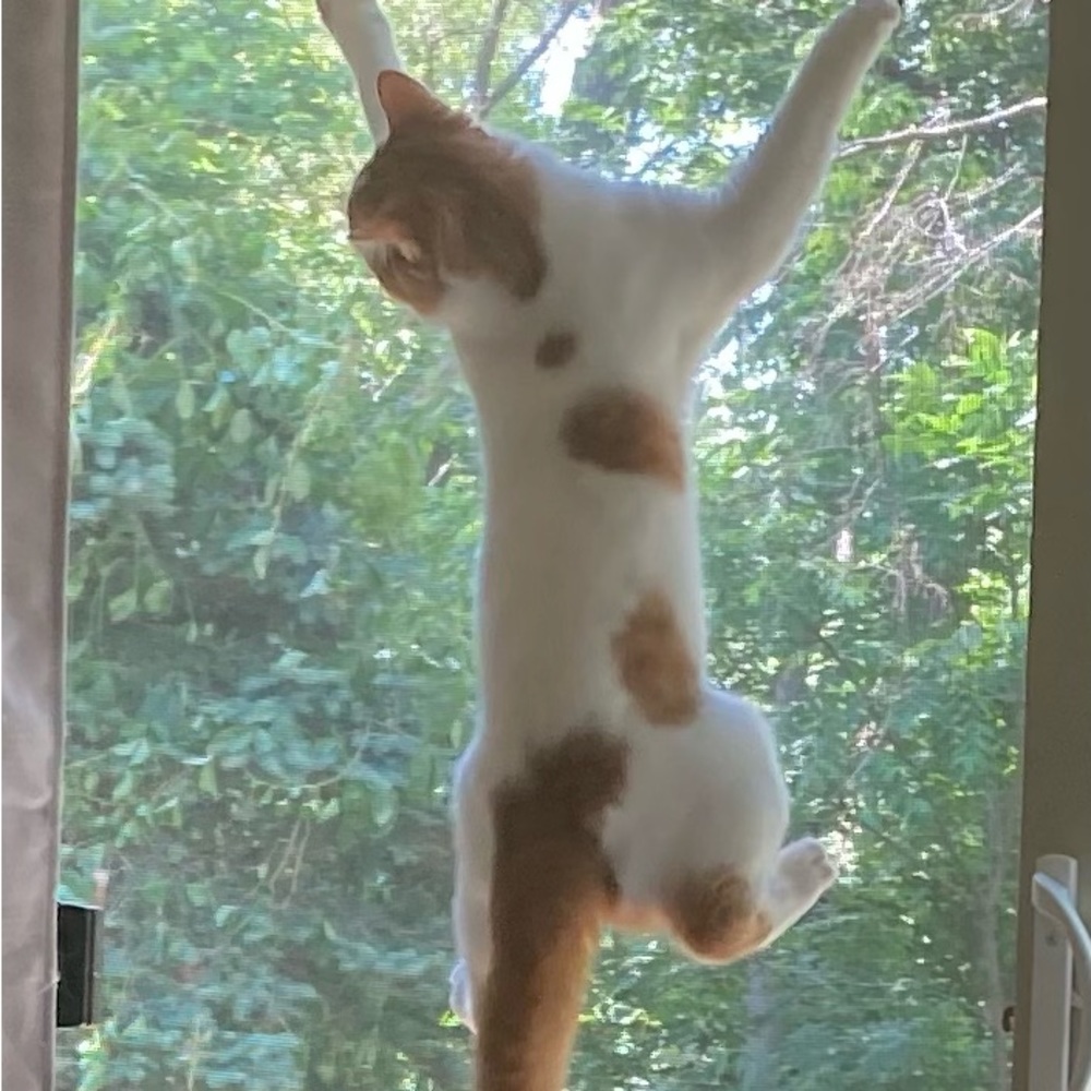 Hang on Fridays almost here!!